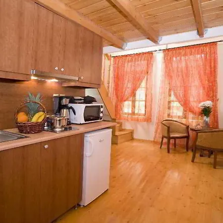 伊瑞内豪宅酒店 *